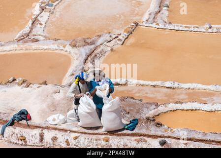 Maras, Pérou - 19 octobre 2018: Deux hommes collectent le sel filtré de la salinera pour le vendre plus tard Banque D'Images
