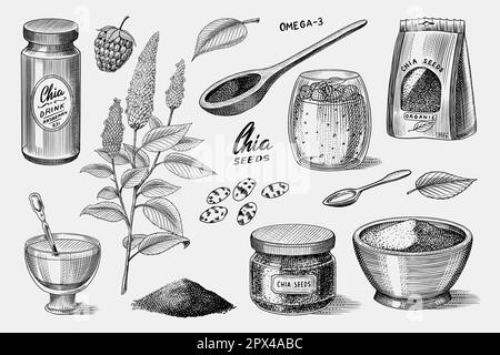 Chia plante et graines.Salvia hispanica.Emballage aux épices, cuillère en bois, dessert et pudding.Une poignée d'assaisonnement et une bouteille en verre.Gravé Illustration de Vecteur