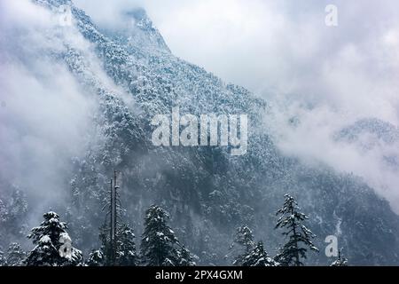 Yumthang Valley, au nord de Sikkim est un paradis sur terre, qui est plein de merveilles naturelles et de beauté pittoresque. Banque D'Images