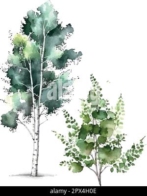 Aquarelle bouleau arbres Russie arbre Elément de conception pour fonds d'écran, site web arrière-plan Illustration vectorielle. Illustration de Vecteur