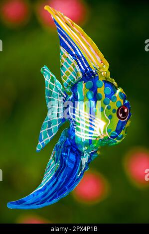 Le mannequin de l'angelfish, un poisson ornemental d'Amérique du Sud, fait de feuille métallique Banque D'Images