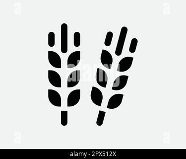 Blé seigle orge récolte de semences céréales biologique récolte saine de céréales icône noir et blanc symbole Vector Illustration Clipart Illustration Illustration de Vecteur