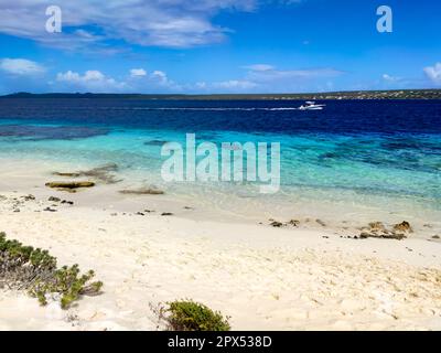 Vue depuis la plage de Bonaire dans les Caraïbes avec ciel bleu et mer turquoise Banque D'Images