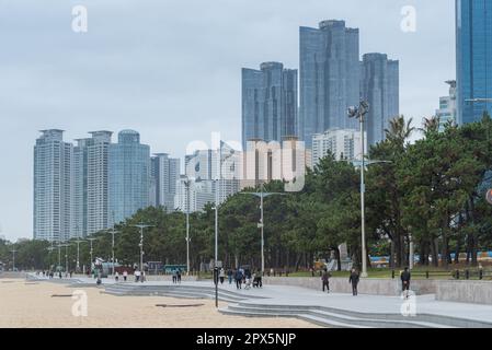 Plage Haeundae avec vue sur la ville de Busan. Banque D'Images