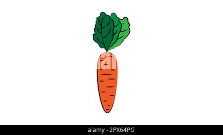 carottes sur fond blanc, illustration vectorielle. une carotte longue, orange et brillante avec une queue verte luxuriante, une récolte de légumes, une nourriture végétalienne saine, une nourriture végétalienne Illustration de Vecteur