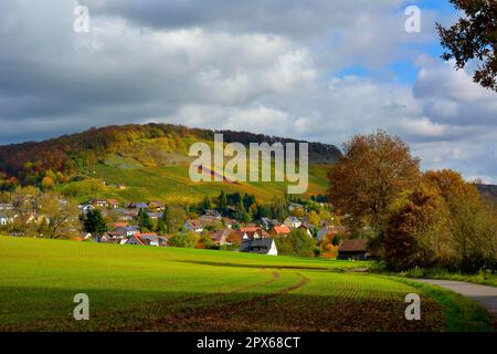 NB. Schuetzingen, Stromberg à Wuerttemberg en automne, vignobles Banque D'Images