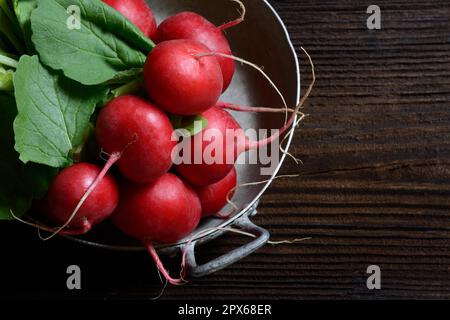 Bande de radis (Raphanus sativus var.. sativus) dans la peau Banque D'Images