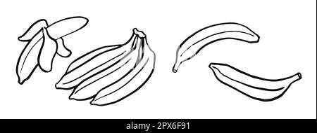 l'art de la ligne de bananes, dessin à la main, illustration noir et blanc des fruits tropicaux, ensemble Banque D'Images