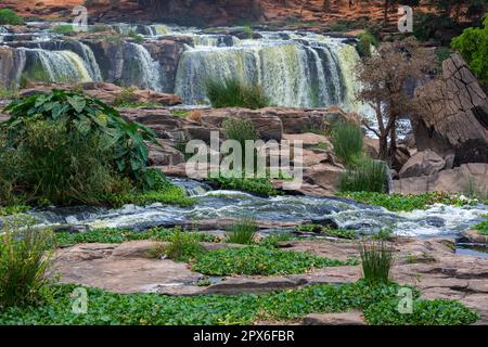 Fortenn Falls Thika, rivière Athi, cascade, eau, rivière, Kenya Banque D'Images