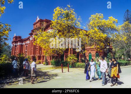 Galerie d'art Venkatappa, Musée du Gouvernement à Bengaluru Bangalore, Karnataka, Inde du Sud, Inde, Asie. Cloches dorées à fleurs (Tabebuia argentea) Banque D'Images