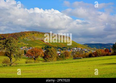 NB. Schuetzingen, Stromberg à Wuerttemberg en automne, vignobles Banque D'Images