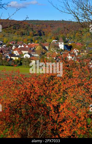 NB. Haefnerhaslach, vignobles colorés en automne, Guendelbach, Allemagne Banque D'Images