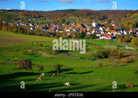 NB. Haefnerhaslach, vignobles colorés en automne, Guendelbach, Allemagne Banque D'Images