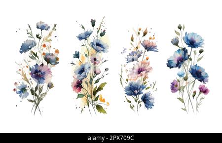 Set aquarelle fleurs sauvages, feuilles et herbe. Collection d'éléments de jardin botaniques. Illustration vectorielle isolée dans un style vintage Illustration de Vecteur
