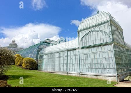 Serres royales à Laeken, Bruxelles, Belgique Banque D'Images