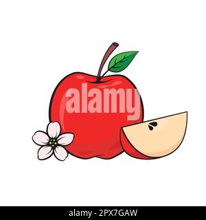 Illustration de la durée de vie de la pomme rouge. Composition de la pomme, de la tranche et de la fleur. Illustration de Vecteur