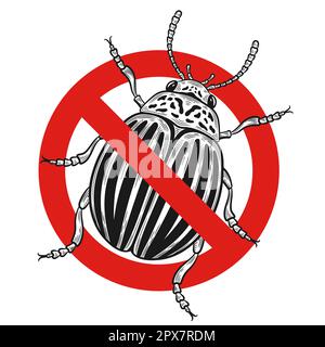 Arrêter le coléoptère de la pomme de terre du colorado, panneau d'interdiction rouge de lutte contre les insectes nuisibles des plantes de jardin. Pommes de terre endommagées par les insectes volants à rayures. Vecteur insectide chimique Illustration de Vecteur