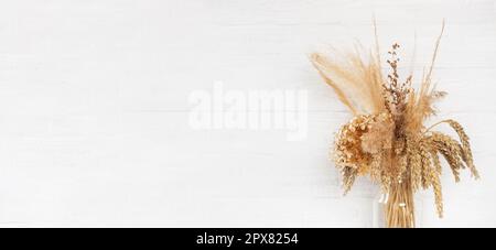 Belles fleurs séchées décoratives, pampas d'herbe, des épillets dans un élégant vase transparent sur un mur rustique en bois blanc. Maison élégante et simple Banque D'Images