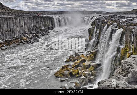 selfoss, île, wasserfall, fluss, kaskade, kaskaden, bach, bergbach, wildbach, natur, landschaft, gewalrtig, Jökulsárgljúfur, schlucht, canyon, grand Banque D'Images