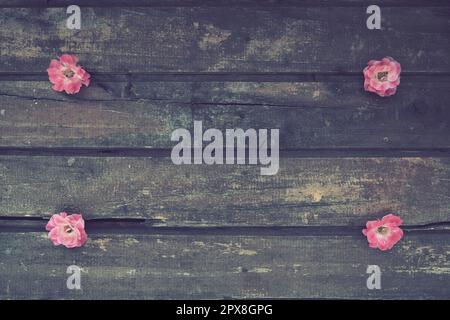 Bourgeons de roses en terry rose sur fond de bois. Quatre belles roses sont disposées sur la table dans les coins. Copier l'espace. Espace libre pour le texte. Banque D'Images