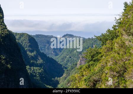 Paysage de montagne.Vue sur les montagnes sur la route Queimadas Forestry Park - Caldeirao Verde, île de Madère, Portugal, Europe. Banque D'Images