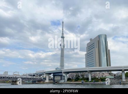 Un clip de l'endroit touristique et de la tour de cellule Tokyo Skytree de l'autre côté de la rivière Sumida avec les cerisiers en fleur. Banque D'Images