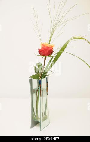 Rose, vase, Blumenvase, blume, liebe, freundschaft, valentistitag, hochzeitstag, muttertag, geburtstag, rot, Banque D'Images