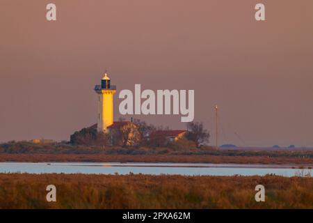 Phare de la Gacholle, Parc naturel régional de Camargue, Provence, France Banque D'Images