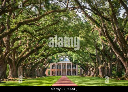 Plantation historique d'Oak Alley à Vacherie, Louisiane Banque D'Images