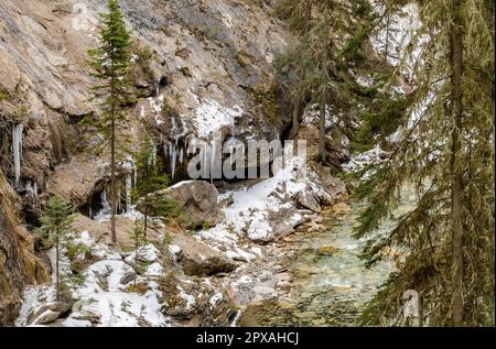 Paysage du canyon Johnston, au début de l'hiver, dans le parc national Banff, Alberta, Canada Banque D'Images