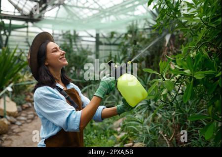 Jeune femme jardinière plantes d'entretien traitant les fleurs avec des produits chimiques du pulvérisateur. Concept de travail en serre Banque D'Images