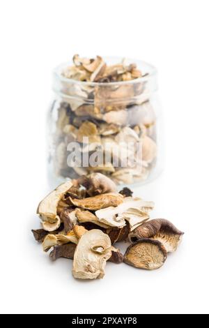Divers champignons séchés en tranches isolés sur fond blanc. Banque D'Images