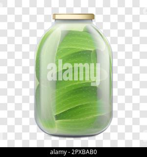 Illustration du bocal de cornichons vectoriels. Concombres à l'intérieur d'un bocal prêts à être marinés. Réaliste 3D éléments de conception Vector de concombres à l'intérieur d'un pot en verre. Illustration de Vecteur