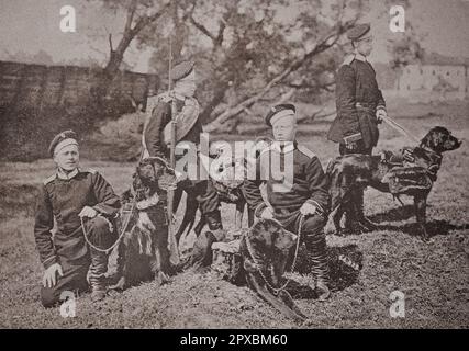 Armée russe impériale. Régiment d'infanterie de Krasnoyarsk, № 95. Chiens militaires Banque D'Images