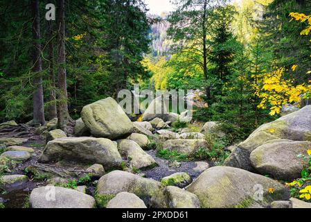 Un paysage d'automne avec la rivière Oker et l'île engagement dans les montagnes Harz, en Allemagne Banque D'Images