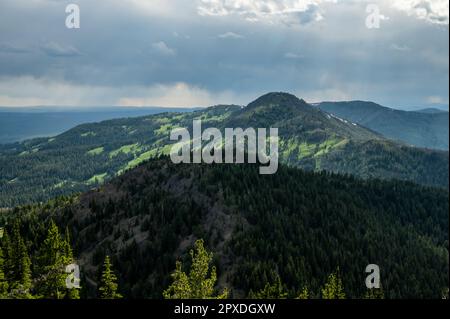 Pistes vertes sur les montagnes en dessous de Washburn Ridge dans le parc national de Yellowstone Banque D'Images