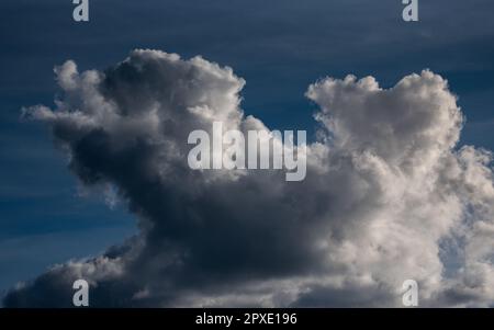 Vue panoramique sur les nuages moelleux dans un ciel bleu. Banque D'Images