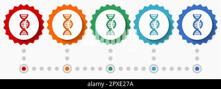 Jeu d'icônes vectorielles découpées en ADN, modèle d'infographie coloré, jeu d'icônes de badge à motif plat en 5 couleurs Illustration de Vecteur