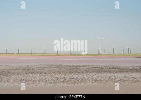 Côte avec parcs éoliens à grande échelle photo de paysage. Belle photographie de paysage de nature avec horizon sur fond. Image de haute qualité pour le wallp Banque D'Images