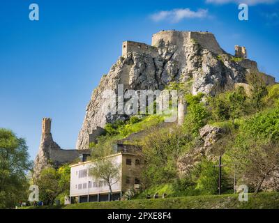 Ruines du château de Devín sur une falaise de calcaire abrupte au-dessus du Danube à Bratislava, Slovaquie. Forteresse médiévale historique avec d'anciens murs en pierre, roc Banque D'Images