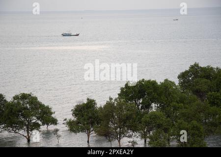 Marais de mangrove à Tg Balai Karimun dans un hôtel. Prise du sommet Banque D'Images