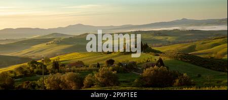 Panorama du paysage toscan à Val d'Orcia, Toscane, Italie Banque D'Images