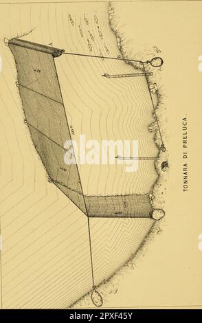 «La pêche de l'Adriatique et ses poissons : un rapport de la pêche hauturières austro-hongroise : avec une description détaillée de la faune marine du golfe Adriatique» (1883) Banque D'Images