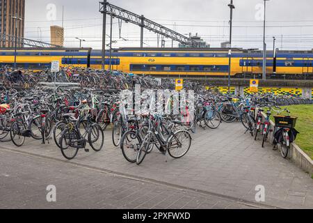 Eindhoven, pays-Bas, 04-10-2023: Image typiquement hollandaise, un grand nombre de bicyclettes garées à la gare de la ville d'Eindhoven dans la province Banque D'Images