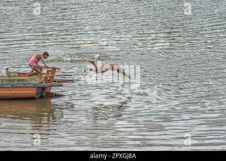 06 12 2017 garçons sautant dans la rivière Krishna dans le district de Narsobawadi Kolhapur Maharashtra Inde.Asie. Banque D'Images