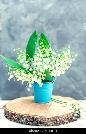 Bouquet de lys de la vallée dans un seau bleu sur fond gris. Carte de vœux. Banque D'Images