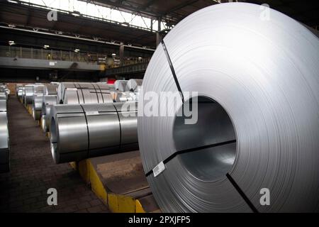 Bobines de tôle d'acier, général, caractéristique, motif de bordure, photo symbolique visite du président fédéral Frank Walter Steinmeier à ThyssenKrupp Steel à Duisburg, 2 mai 2023. Banque D'Images