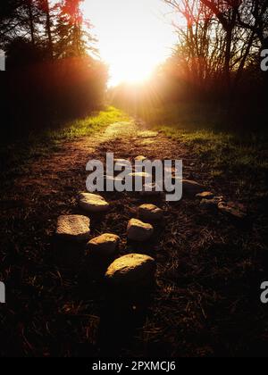 Un sentier pittoresque fait de méandres de pierre à travers une forêt luxuriante, menant à un coucher de soleil étonnant Banque D'Images