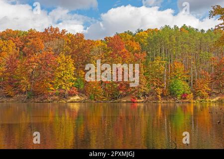 Reflets pastel d'une forêt d'automne sur le lac Strahl, dans le parc national Brown Country, dans l'Indiana Banque D'Images