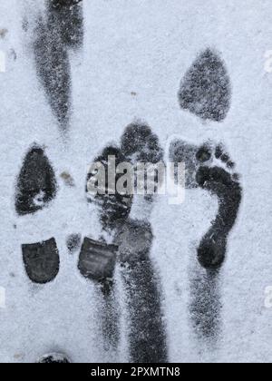 empreintes des pieds humains sur la neige blanche Banque D'Images